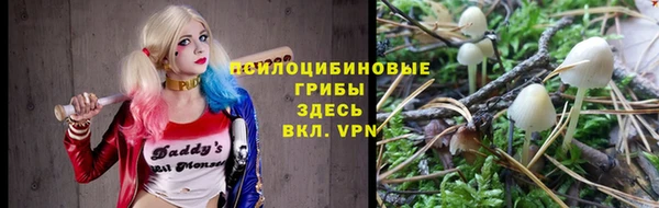 PSILOCYBIN Ессентукская