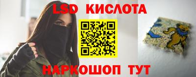 гашик Берёзовский