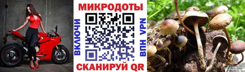 Псилоцибиновые грибы ЛСД  наркошоп  Боровичи 