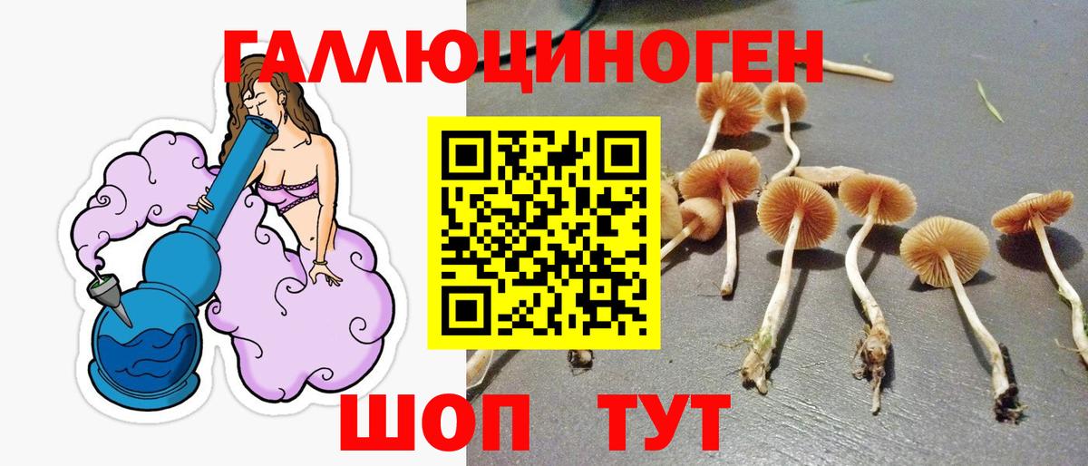 Галлюциногенные грибы Psilocybine cubensis  Вход с VPN  Боровичи 